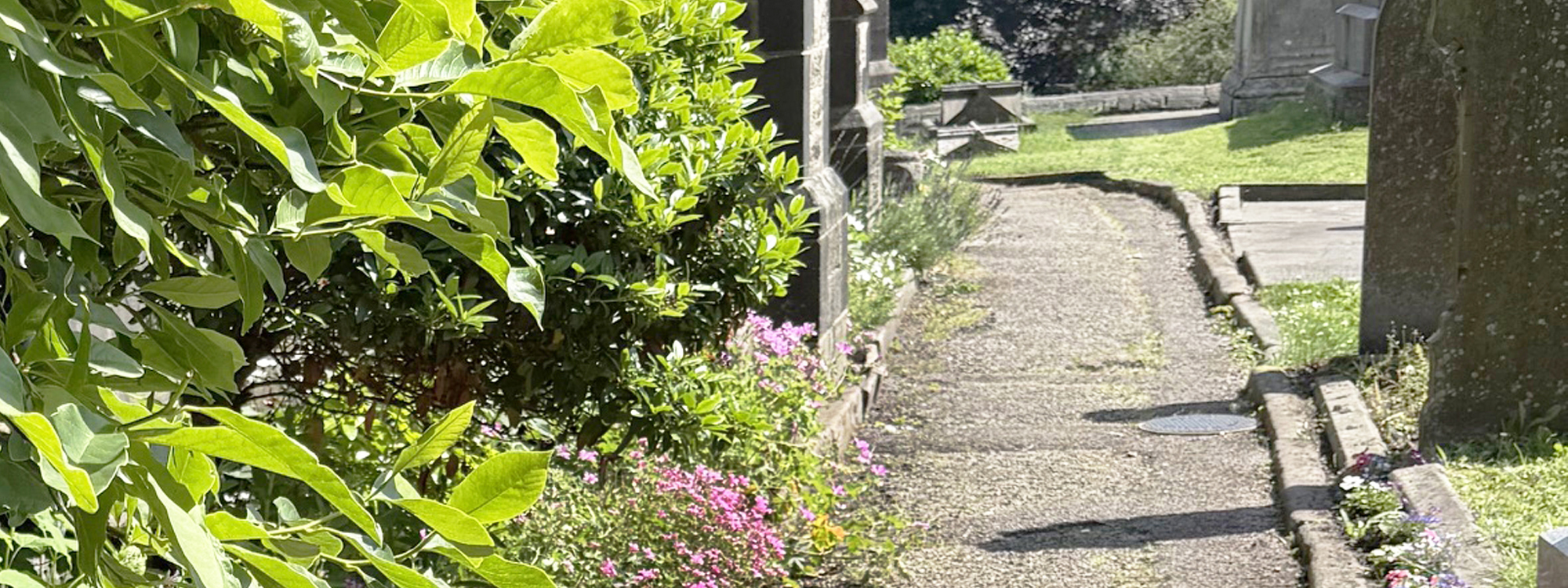 Brindle Voice July/August 2026**Read here